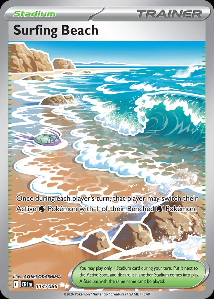 Surfing Beach #114